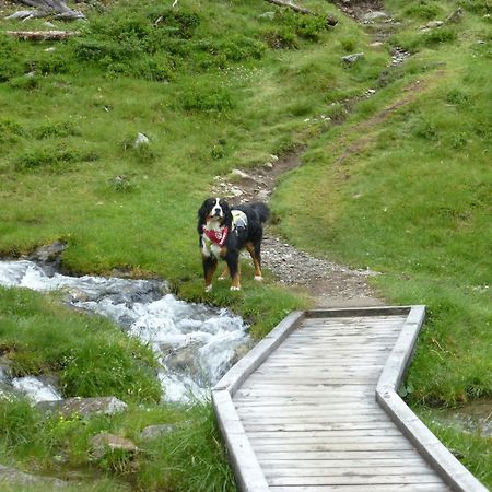 B&B,Bergheimat Oase Irschen Bagian luar foto