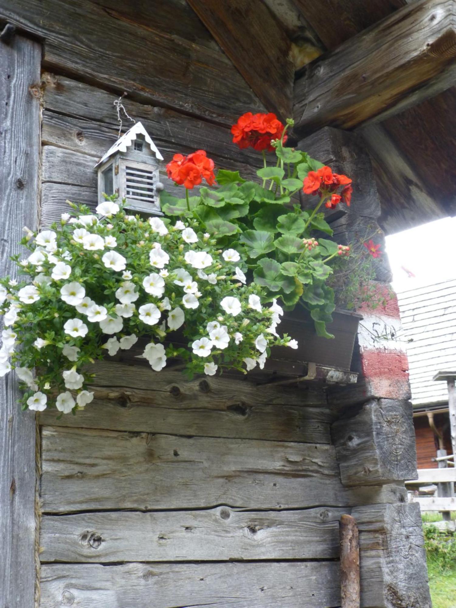 B&B,Bergheimat Oase Irschen Bagian luar foto