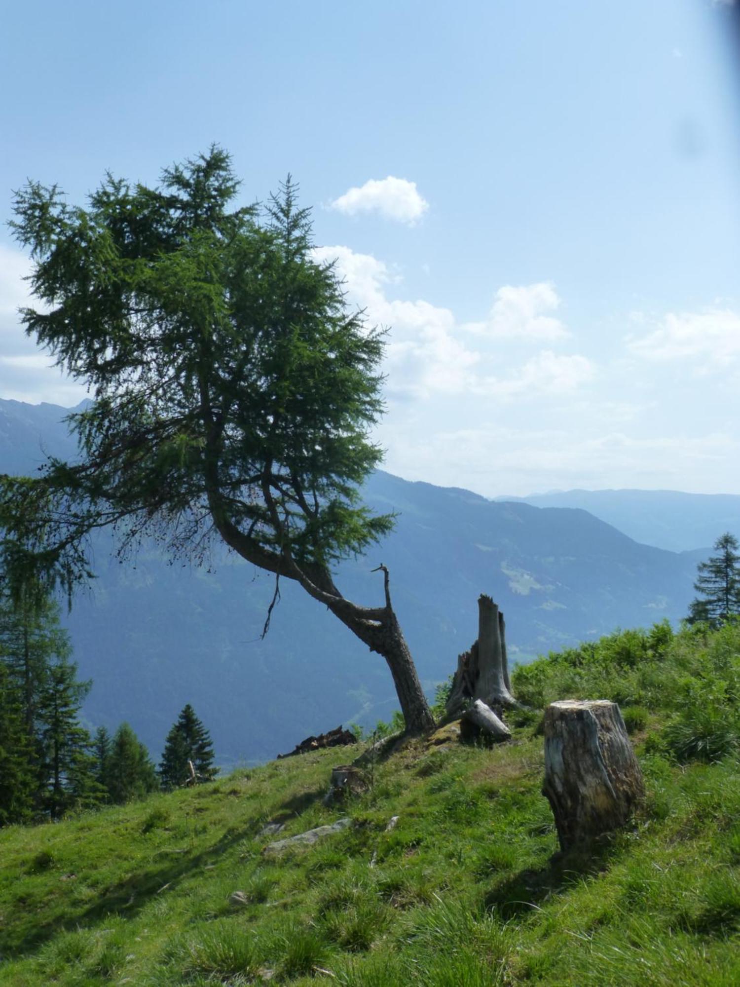 B&B,Bergheimat Oase Irschen Bagian luar foto