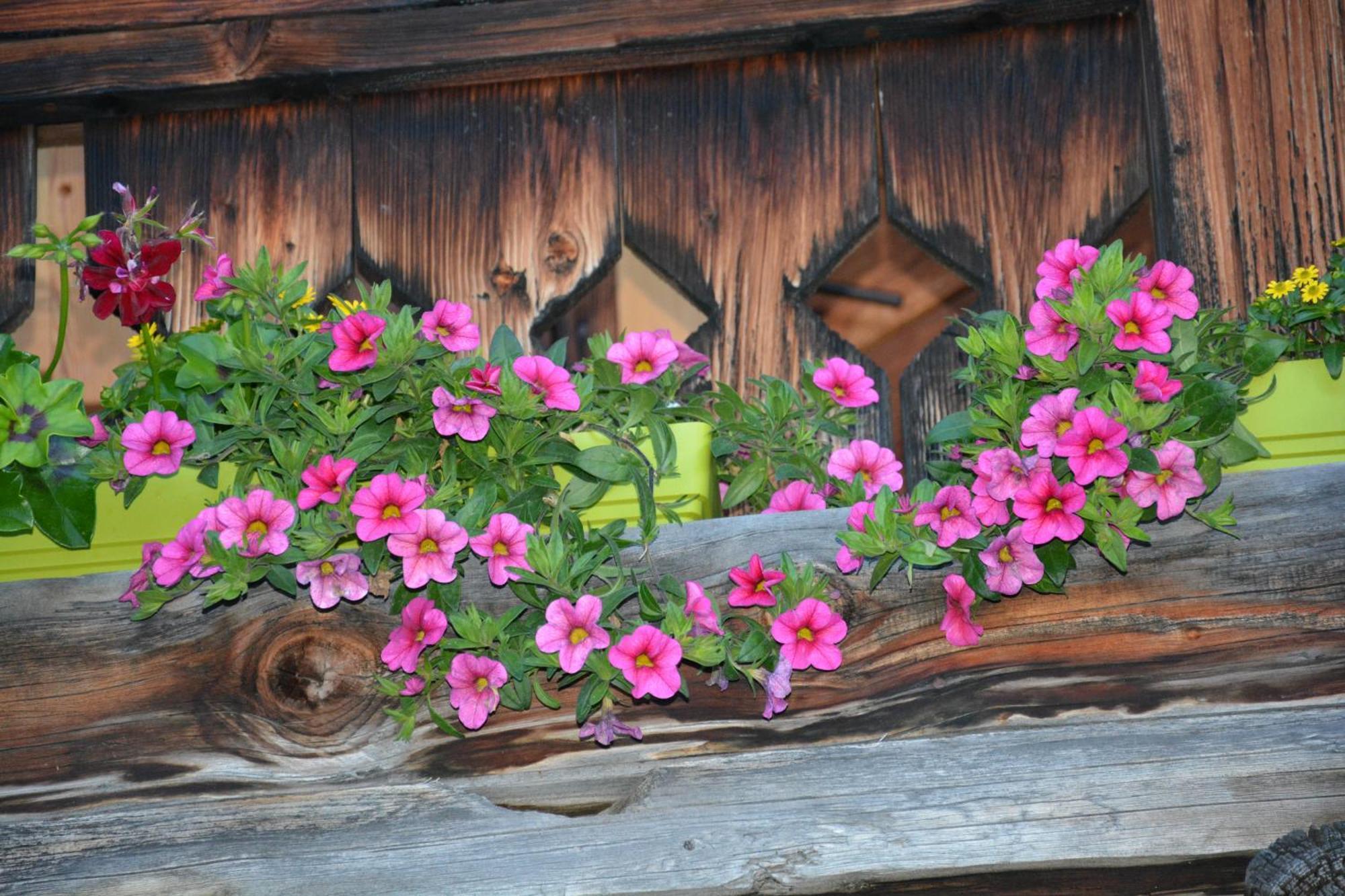 B&B,Bergheimat Oase Irschen Bagian luar foto