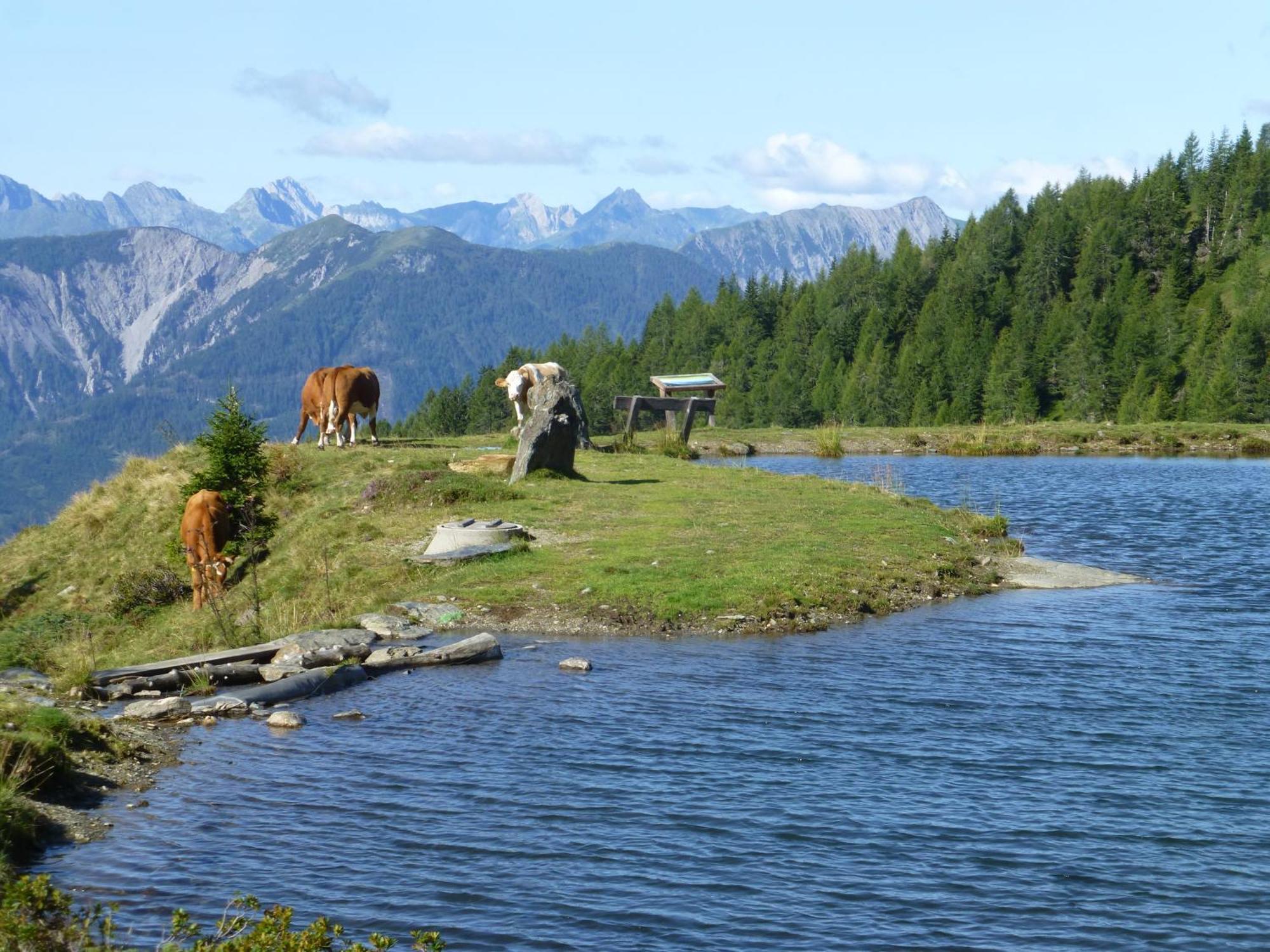 B&B,Bergheimat Oase Irschen Bagian luar foto