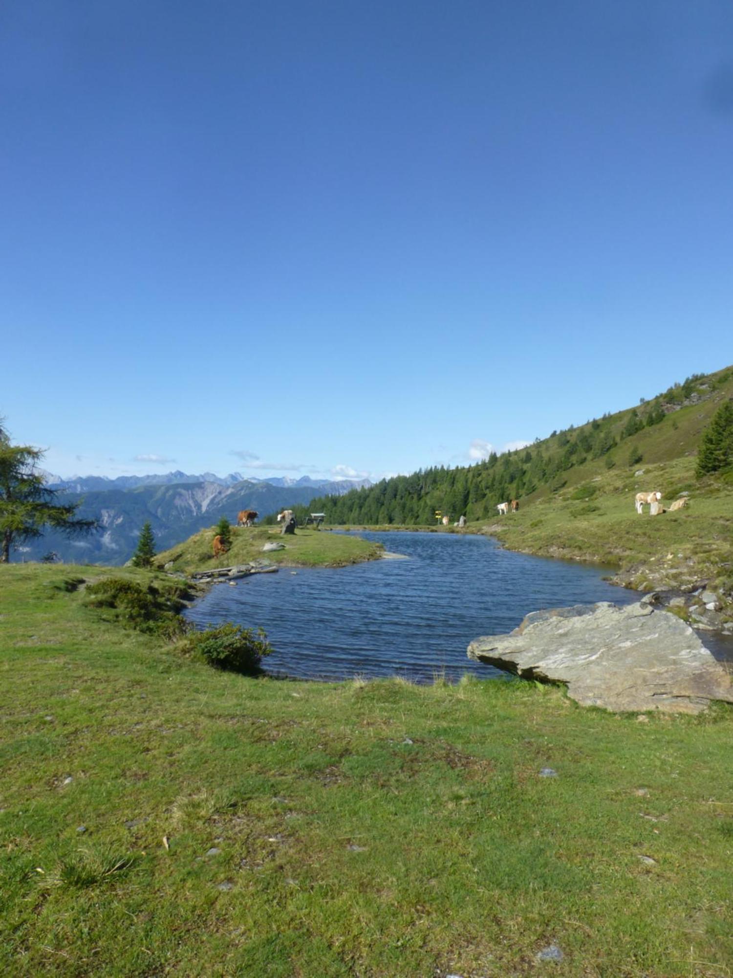 B&B,Bergheimat Oase Irschen Bagian luar foto